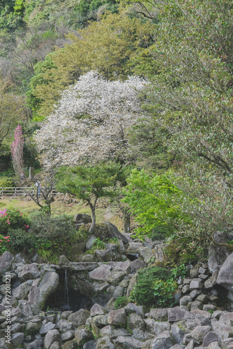 Sengan-en Japanese garden with former Shimazu clan residence in Kagoshima Prefecture, Japan. Place of scenic landscape beauty with Shōko Shūseikan Meji Revolution Sakurajima lookout volcano view photo