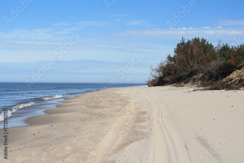 landscape of the sea shore of the Baltic Sea
