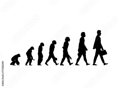 7 stages of human evolution  black