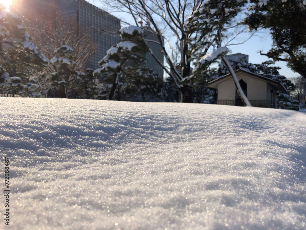 Images of Japan - Late Winter Snow Blanketing Outer Palace Grounds in Tokyo