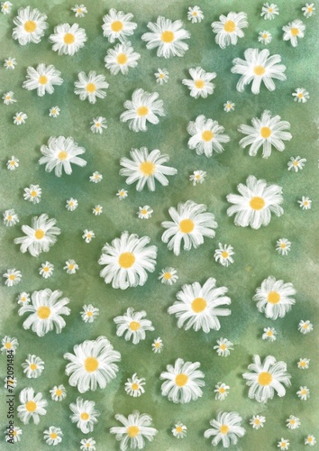 daisies on grass