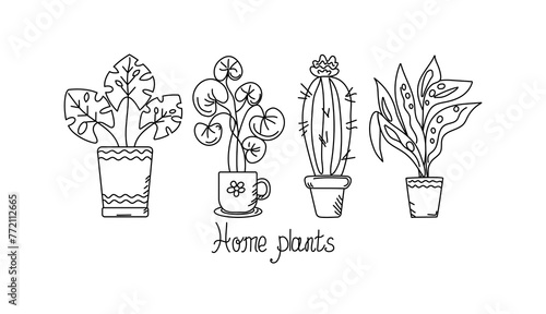 Home potted plant. Doodle, drawing. Linear icons flowers, cacti, leaves. Vector illustration with hand lettering. Black and white illustration, background isolated.