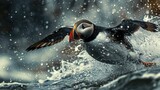 Puffin skillfully navigating through a storm, symbolizing resilience, courage, and the ability to thrive under challenging market conditions.