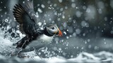 Witness the puffin's resilience, courage, and thriving spirit amidst turbulent times, symbolizing strength in adversity.