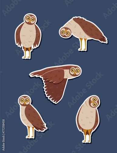 Stickers Set of cute funny owl with tilted leaned head, in flight. Vector illustration of cartoon forest night birds. © Elenglush