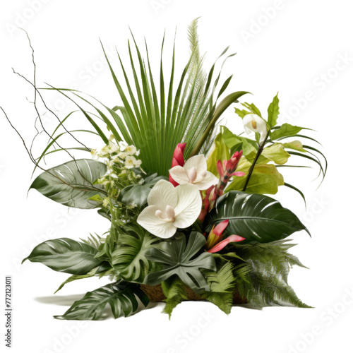 Tropical plant arrangement decoration