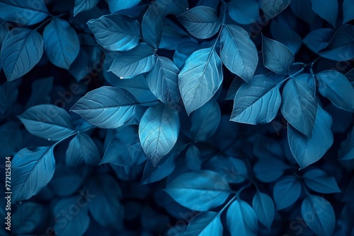 Luminous Blue Leaves Close-Up with a Dark Background 
