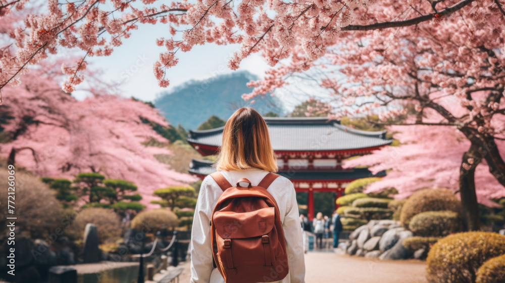 Fototapeta premium A woman wearing a backpack is walking through a park with cherry blossoms