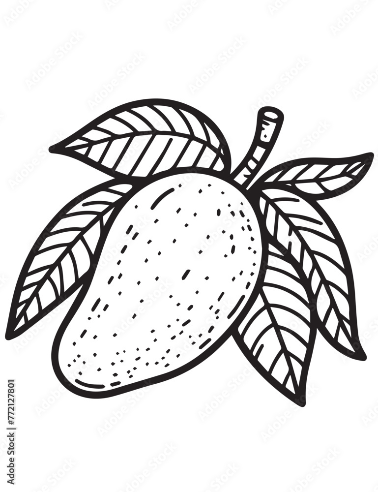 Illustration Coloring draw fruit mango black and white version good for kids Illustration Coloring draw fruit mango black and white version good for kids