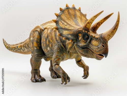 lifelike model of a Triceratops standing on a white background  © anurakss