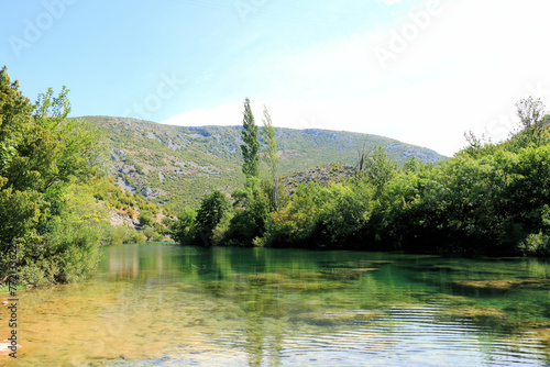 The lovely Zrmanja river near Muscovici  Croatia