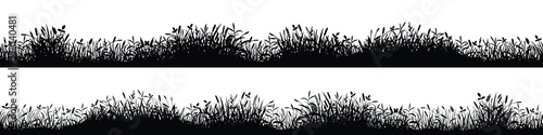 Drawn wild grass isolated on white background, seamless border, vector design
