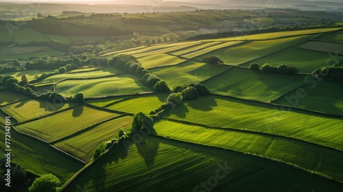 Green Fields. Aerial View of Rural Wales Farmlands from Up High © AIGen