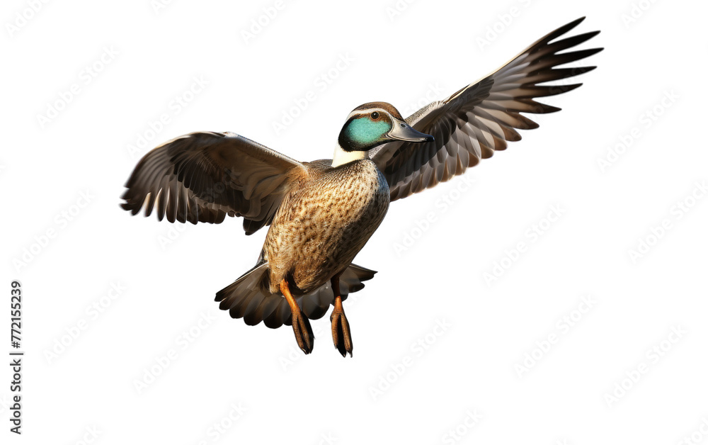 A magnificent bird elegantly glides through the vast open sky, wings spread wide in flight A magnificent bird elegantly glides through the vast open sky, wings spread wide in flight