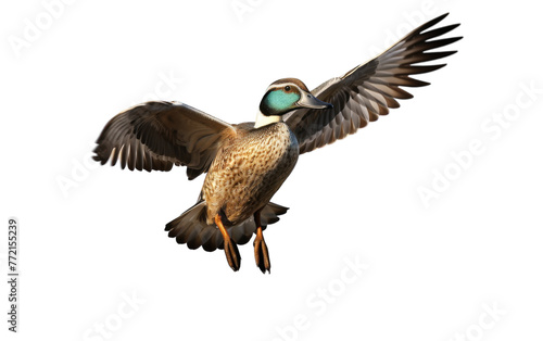 A magnificent bird elegantly glides through the vast open sky, wings spread wide in flight