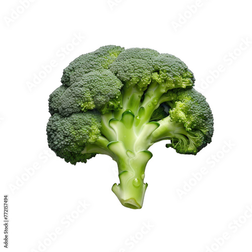 Fresh Broccoli 