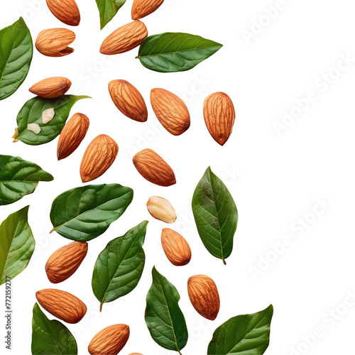 Almonds and green leaves on a transparent background, resembling a peach event