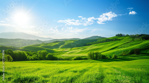 Beautiful green green landscape on a bright sunny day © Ali