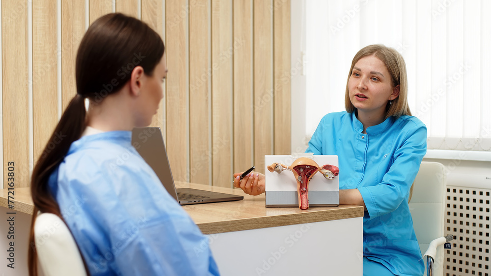A young female patient communicates with a gynecologist in a modern clinic. Preventive care, preparation for medical examination, preparation for pregnancy, gynecological control. A young female patient communicates with a gynecologist in a modern clinic. Preventive care, preparation for medical examination, preparation for pregnancy, gynecological control.