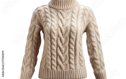 A stylish womens sweater with a chic turtle neck design, perfect for cooler weather photo