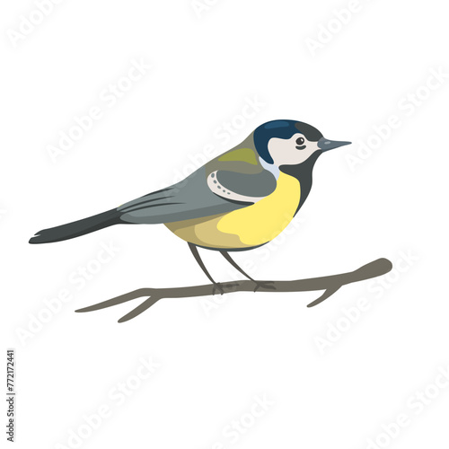 Great tits sitting on the branches. Cartoon Titmouse on white isolated background. Vector flat illustration