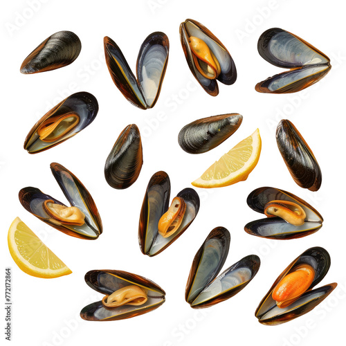 Food art mussels, lemon slices, transparent background a painting masterpiece