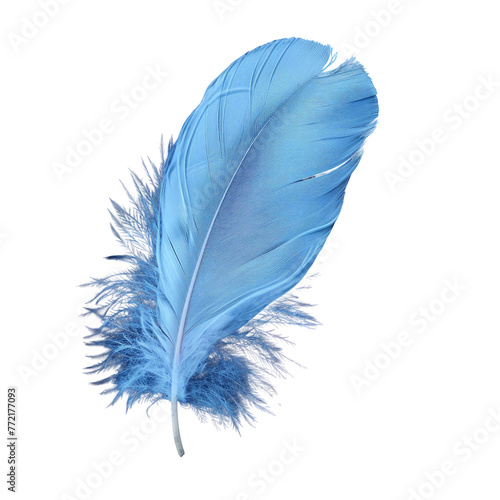 Electric blue quill from a terrestrial plant on a transparent background