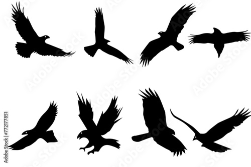 Majestic Wings, Top-Rated Eagle Silhouette Collection, High-Quality eagle flying collection, Set of Avian Elegance Vector, Eagle and Flying Bird Silhouettes , eagle flight, Top Collection of Eagle 