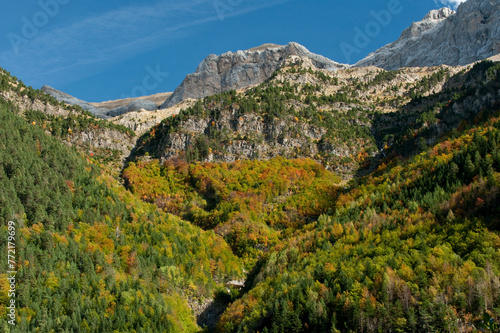 Autumn forest at Bujaruelo Valley, Ordesa Monte Perdido National Park, Huesca, Aragon, Spain - stock photo photo