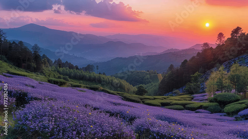 A large field of lavender flowers on the mountaintop, with purple and blue petals covering an area as wide as one or two football fields. Created with Ai