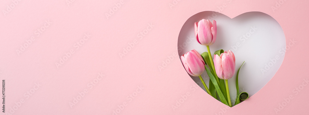 Mother's Day gratitude motif. Top view perspective featuring vibrant tulips, framed by a silhouette of heart on pastel pink background, suitable for expressing appreciation or marketing special offers - obrazy, fototapety, plakaty 
