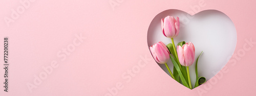Mother's Day gratitude motif. Top view perspective featuring vibrant tulips, framed by a silhouette of heart on pastel pink background, suitable for expressing appreciation or marketing special offers