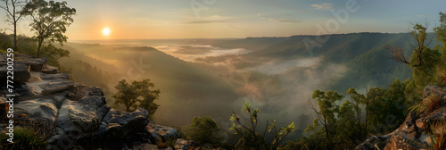 Sunrise View from a Mountaintop: A Journey Through the Wilderness Mist