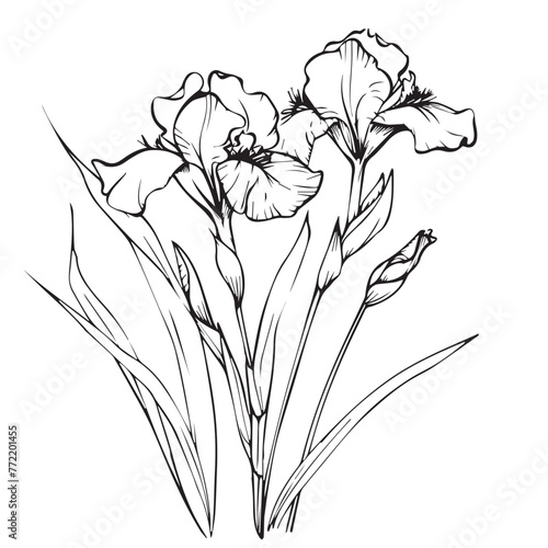 Irises in cartoon, doodle style . Image for t-shirt, web, mobile apps and ui. Isolated 2d vector illustration in logo, icon, sketch style, Eps 10, black and white. AI Generative