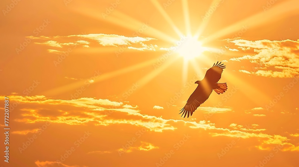Unbound Majesty: Witness the Magnificent Eagle Soaring Across Vast 