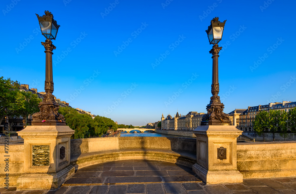 Obraz premium Pont Neuf is the oldest standing bridge across the river Seine in Paris, France. Cityscape of Paris. Architecture and landmarks of Paris