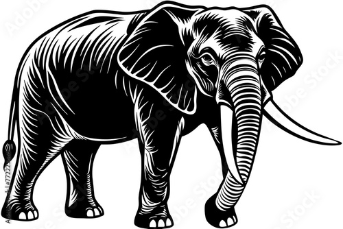 elephant-had-vector-illustration