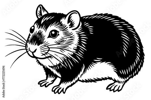 healthy-guinea-pig-vector-illustration