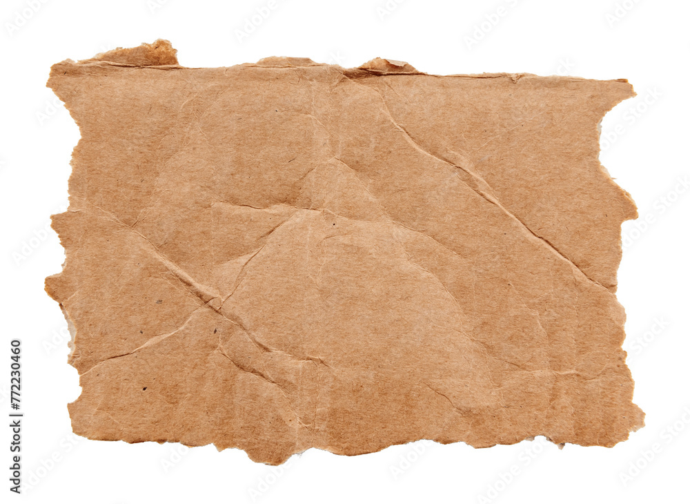 Piece of torn cardboard on a white background. Torn cardboard isolate