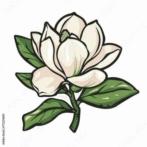 Magnolias in cartoon  doodle style. Image for t-shirt  web  mobile apps and ui. Isolated 2d vector illustration in logo  icon  sketch style  Eps 10. AI Generative