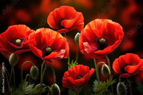 Lustrous Red poppy flowers. Meadow nature. Generate Ai