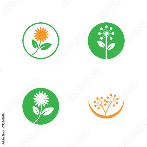 Flower logo. The circular logo. Logo of the flower. Stylized flower. Petals. Simple logo. The brand name emblem logo. Mandala. Logo boutique. Logotype for beauty. Logo for flower shop.