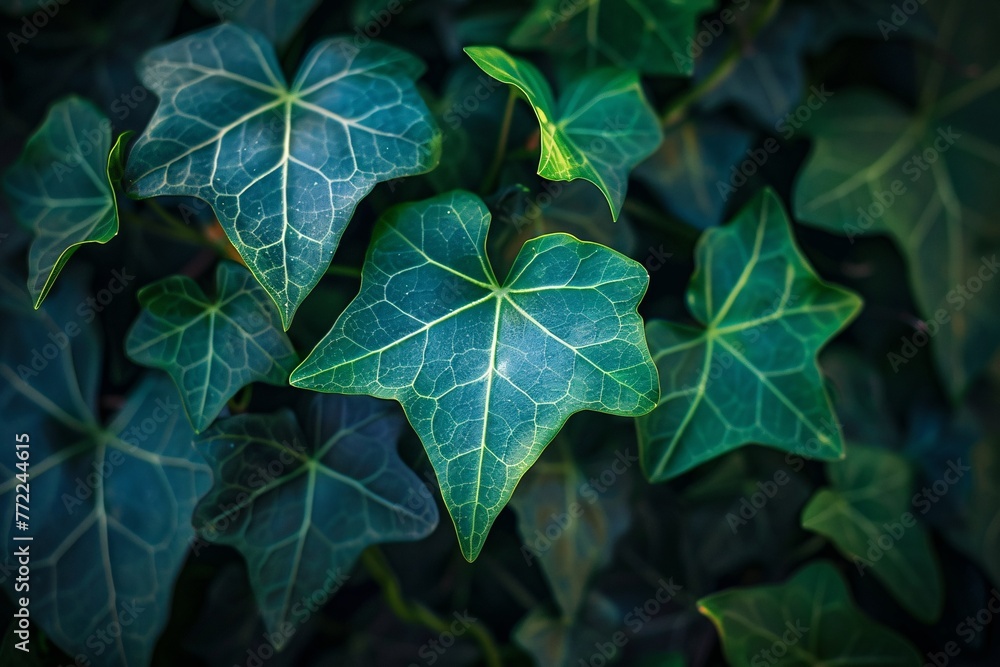 A lush green plant with heart-shaped leaves, perfect for Valentine's Day Generative AI A lush green plant with heart-shaped leaves, perfect for Valentine's Day Generative AI