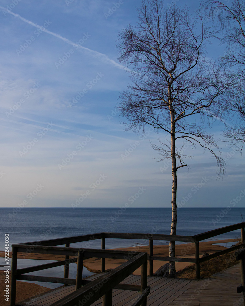 Obraz premium sunset on the lake