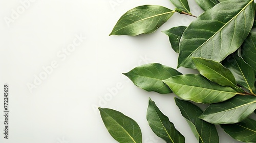 Fresh, dulcet bay leaf exquisitely decorated over a white setting herbs uses for lovely health and space, Generative AI. photo