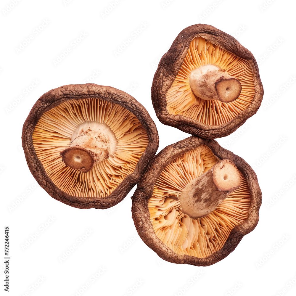 Three mushrooms halved on transparent background, natural ingredient Three mushrooms halved on transparent background, natural ingredient