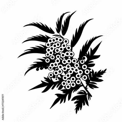Mimosa in cartoon, doodle style. Image for t-shirt, web, mobile apps and ui. Isolated 2d vector illustration in logo, icon, sketch style, Eps 10. AI Generative