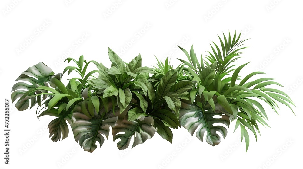 Green leaves of tropical plants bush floral arrangement indoors garden nature backdrop isolated on white background.