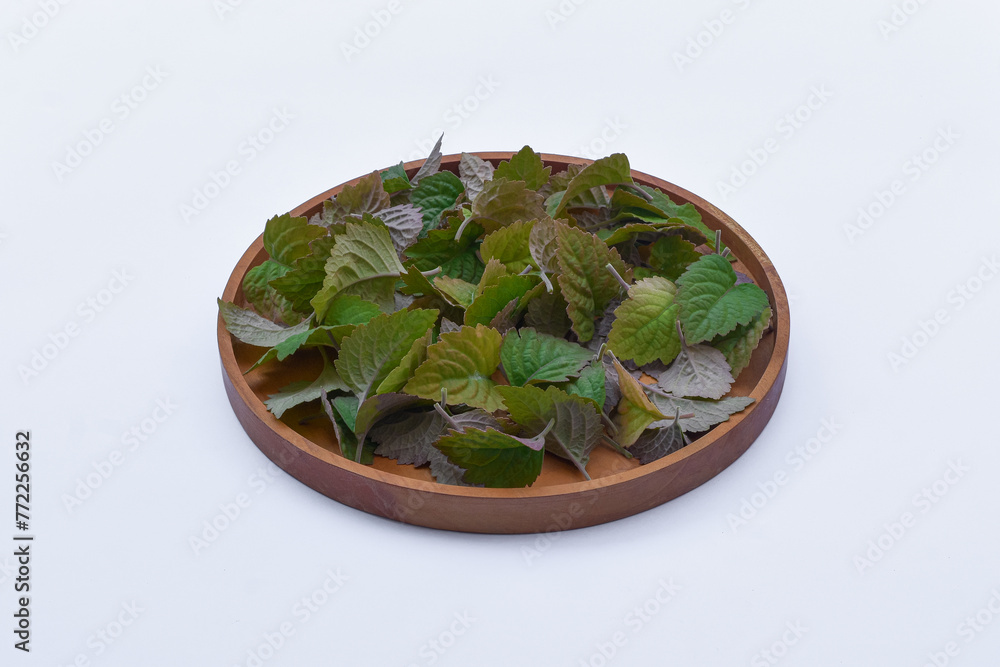 Patchouli leaf oil ingredient on white background isolated	