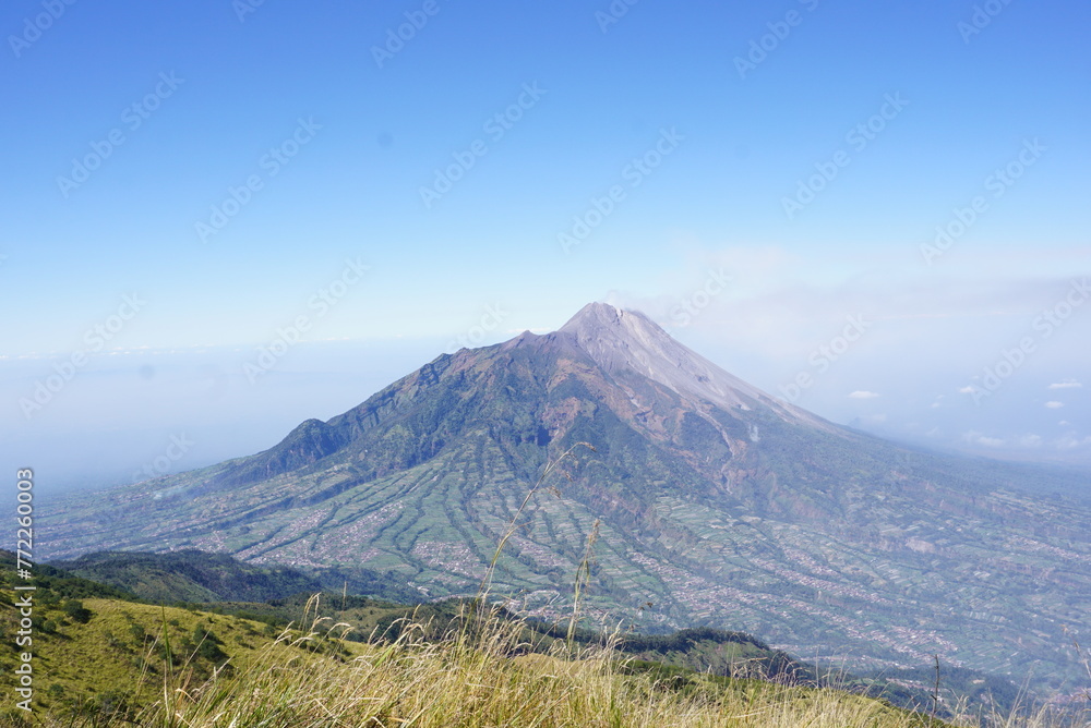 The beauty of Mount Merbabu's savanna is not limited to its green expanse. The sturdy trees standing on the edge of the savanna provide a beautiful contrast and a place to shelter from the sun's heat.